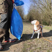 Plogging: Müllsammeln mit Hund