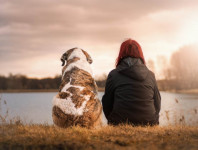 Positive Psychologie für „Sorgenhunde“ (online)