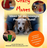 24. Geschenkt: Crazy Moves im eBook!