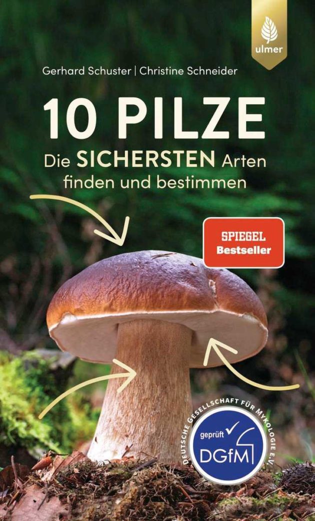 Pilz-vergnügt mit Hund | SPASS-MIT-HUND