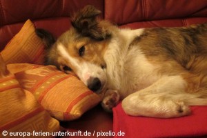 628073_original_R_K_by_europa-ferien-unterkunft-de_pixelio.de