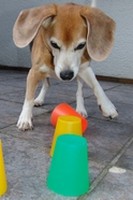 alt-asta-becherkegeln-03