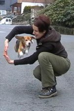 beagle-asta-armsprung