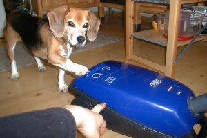 beagle-asta-staubsauger-einschalten