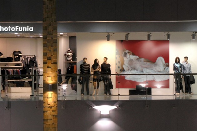 beagle-birte-photofunia-schaufenster