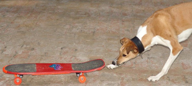 benda-skateboard