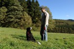 border-collie-coda-spielzeugsuche-01