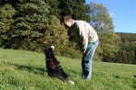 border-collie-coda-spielzeugsuche-05