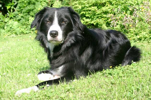 coda-garten-liegend-01