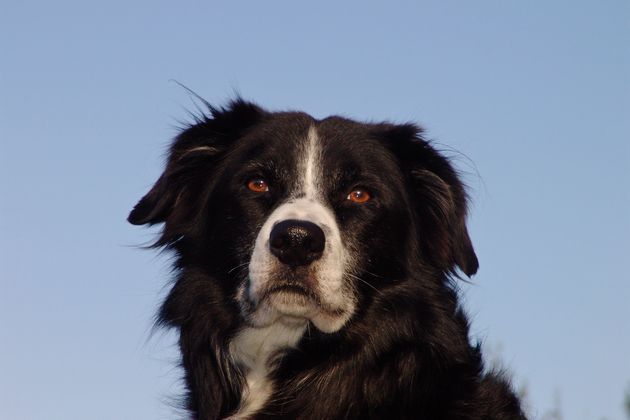 coda-portrait-himmel-01
