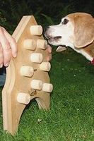 dog-trigger-03