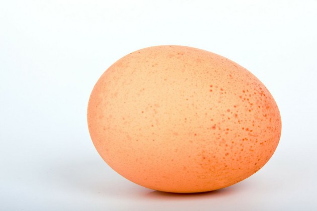 ei-egg-16868