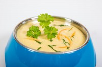 ein-napf-ein-teller-suppe-hund