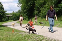 hundestunde-ablenkungsspiel