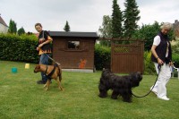 hundestunde-folgesignal