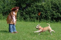 hundestunde-kaethe-herbeikommen