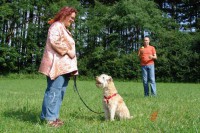 hundestunde-kaethe-sitz-ablenkung