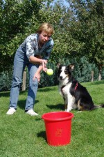 hundestunde-meggan-impulskontrolle-tennisball