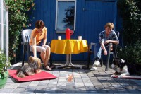 hundestunde-meggan-pina-picknick