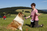 hundestunde-queenie-blickkontakt