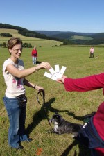hundestunde-ronja-karten-ziehen