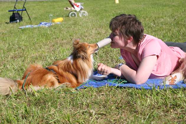 hundestunde-sun-nasen-klopapierrolle