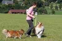 hundestunde-sun-queenie-leinenfuehrigkeit