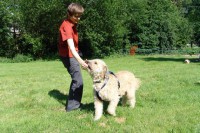 hundestunde-tibor-daumentouch