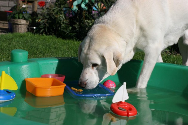 leon-pool-leckerchen