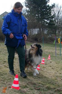 rally-obedience-lana