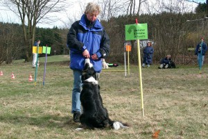 rally-obedience-meggan