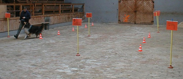 rally-obedience-parcours-halle-02