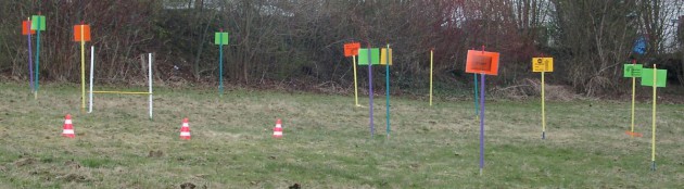 rally-obedience-parcours-wiese