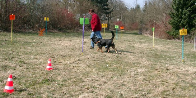 rally-obedience-parcours-wiese