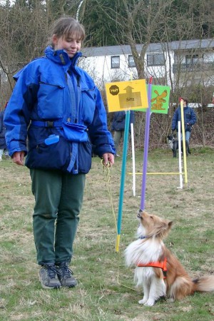 rally-obedience-wiese-sun