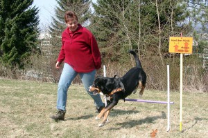 rally-obedience-zito