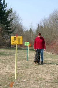 rally-obedience-zito-abruf-03