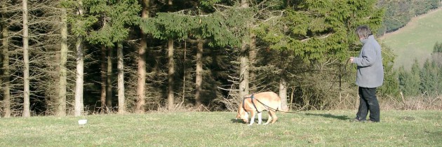 rover-faehrtenarbeit