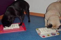 schlemmertablett-mops-pia-und-sally