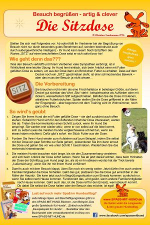 spass-mit-hund-anleitung-sitzdose