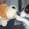 Puppenspieler