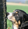 Ab sofort: Das Neueste im Blog