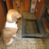 Die Hunde-Backstube