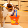 Spiele und Denksport für Hunde – Ideen zum selber machen (online)