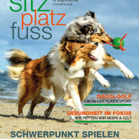 SitzPlatzFuss – Wissensmix im Bookazin