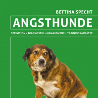 Hund in Angst? Hilfe gefragt!