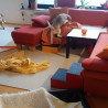 #WirBleibenZuhause: Indoor-Schnueffel-Fitnesscenter