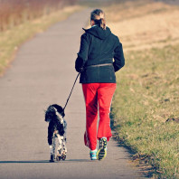 Jog your Dog: Laufprogramm für Hund und Mensch