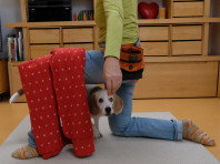 Fitness & Spaß für Mensch & Hund (online)