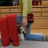 Fitness & Spaß für Mensch & Hund (online)